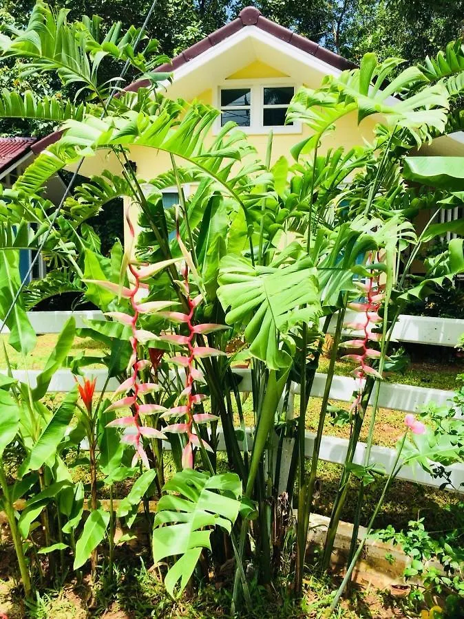 Snapper House Hotel Khao Lak